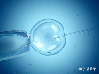 赠卵代生做供卵试管期间体重增加的原因是什么？赠卵助孕代怀机构期间体重增加应该怎么做？