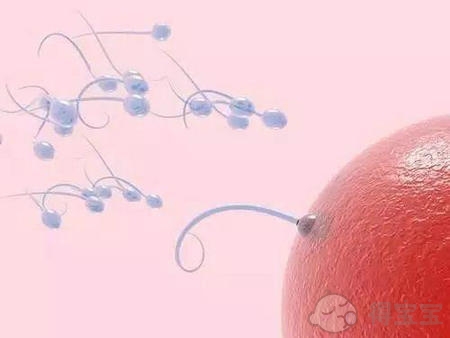 干!如何确定供卵代怀代生的成功率？看看这些科学的统计指标吧!