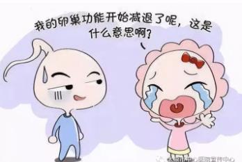 做供卵试管移植的数量越多越好吗