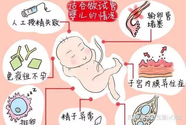 排卵前容易怀孕还是排卵后+排卵之前容易怀孕还是排卵之后
