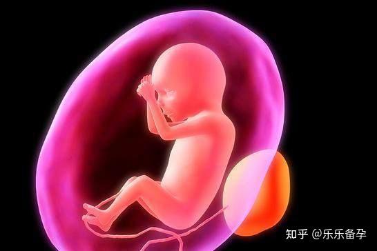 兰州试管代怀网哪家可信赖价格多少钱高价寻试管代怀妈妈怎么节省费用