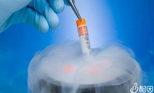 47岁绝经3年借卵试管代怀怎么取卵终于成功+借卵试管成功的办法