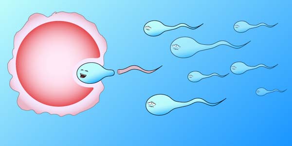 2024年独生子女缴费标准最新规定（独生子女补贴新政策？）