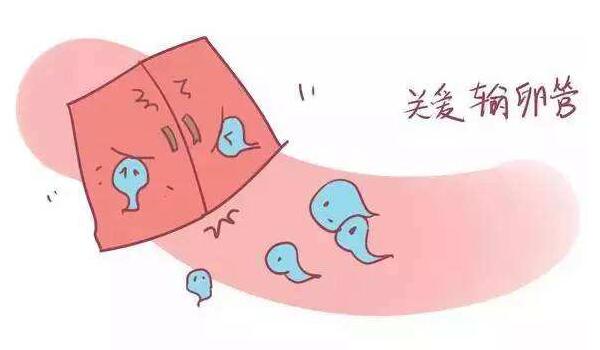 试管代生供卵的流程步骤和费用