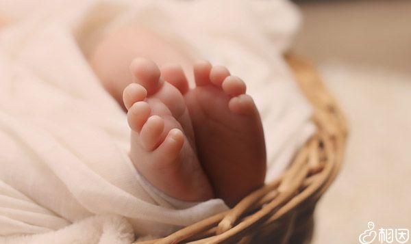 兰州试管包生男孩排名一览,附生殖代怀宝宝一览!
