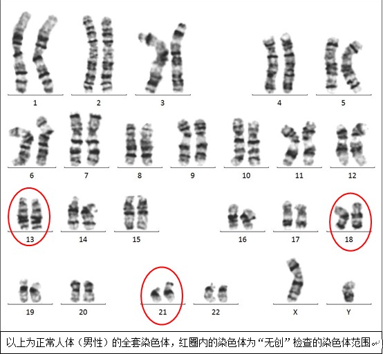 兰州90代生自怀做男孩价格金贵子华人x